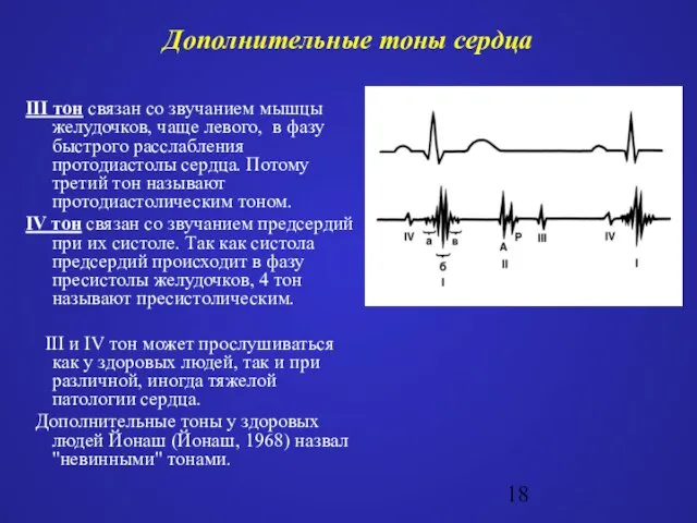 Дополнительные тоны сердца III тон связан со звучанием мышцы желудочков, чаще