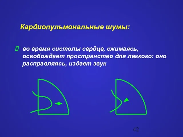 Кардиопульмональные шумы: во время систолы сердце, сжимаясь, освобождает пространство для легкого: оно расправляясь, издает звук