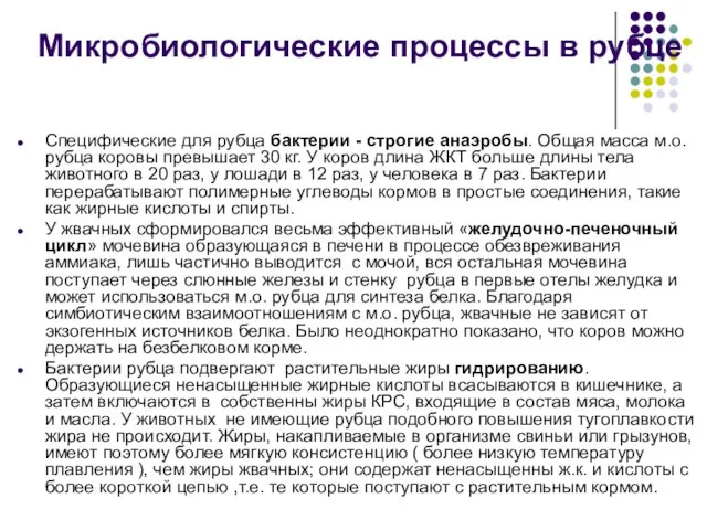 Специфические для рубца бактерии - строгие анаэробы. Общая масса м.о. рубца