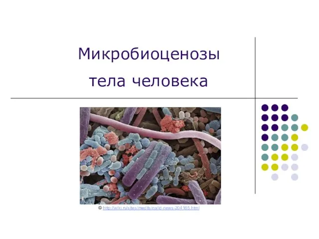 Микробиоценозы тела человека © http://wiki.ru/sites/meditsina/id-news-204165.html