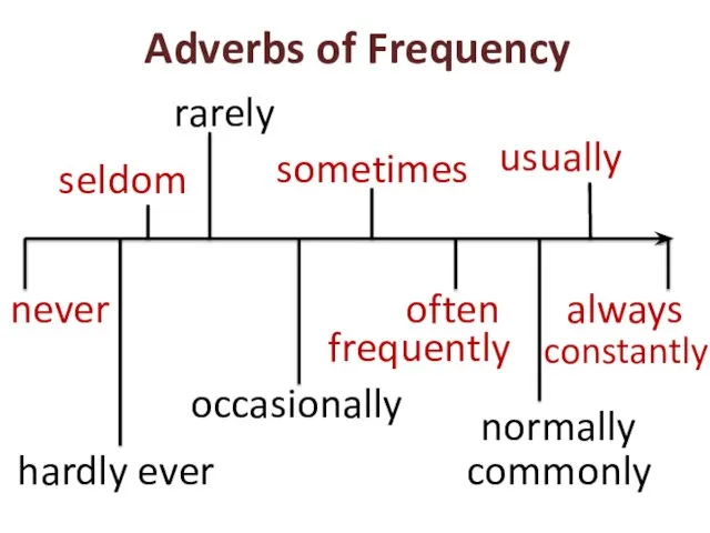 always usually normally often seldom occasionally never sometimes rarely frequently hardly