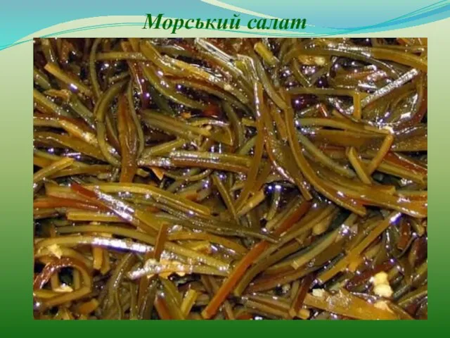 Морський салат