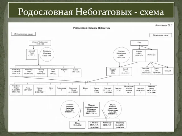 Родословная Небогатовых - схема