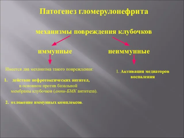 Патогенез гломерулонефрита механизмы повреждения клубочков иммунные неиммунные Имеется два механизма такого