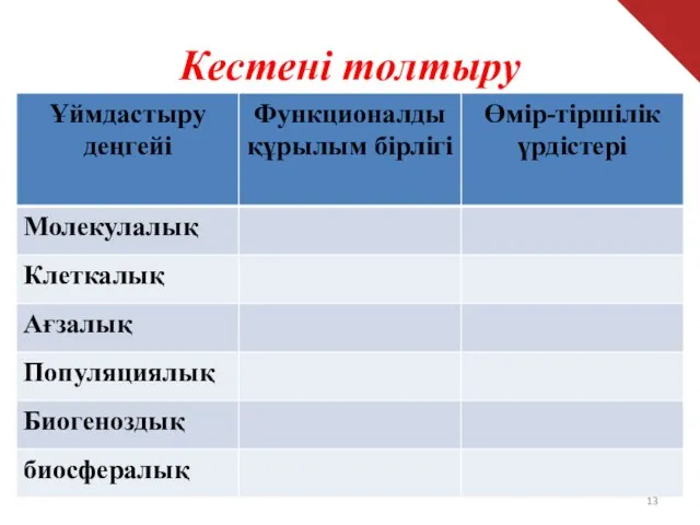 Кестені толтыру