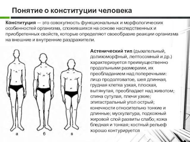 Понятие о конституции человека Конституция — это совокупность функциональных и морфологических