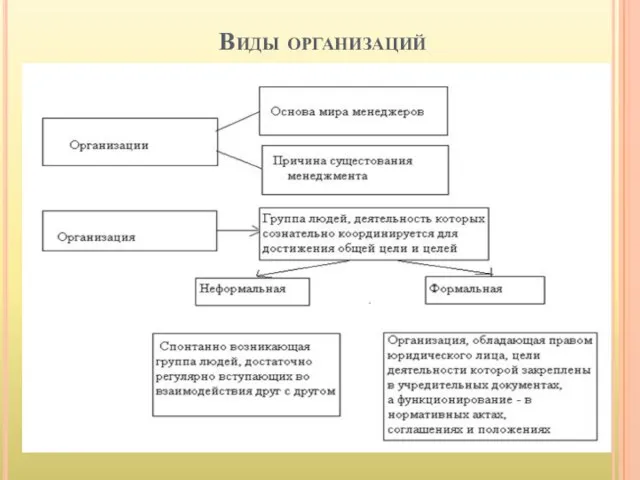 Виды организаций