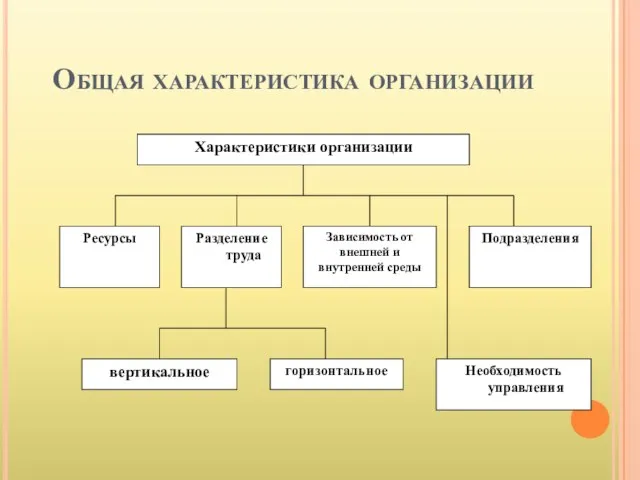 Общая характеристика организации