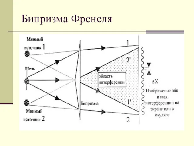 Бипризма Френеля