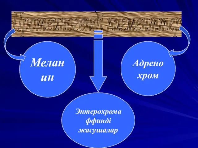 Протеиногенді пигменттер Меланин Адренохром Энтерохромаффинді жасушалар