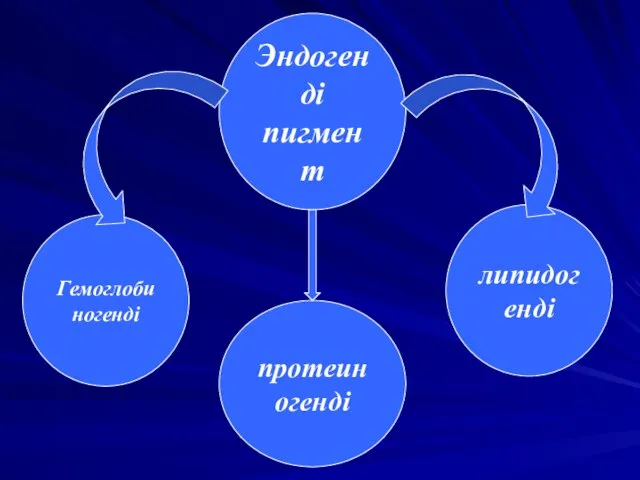 Эндогенді пигмент Гемоглобиногенді протеиногенді липидогенді