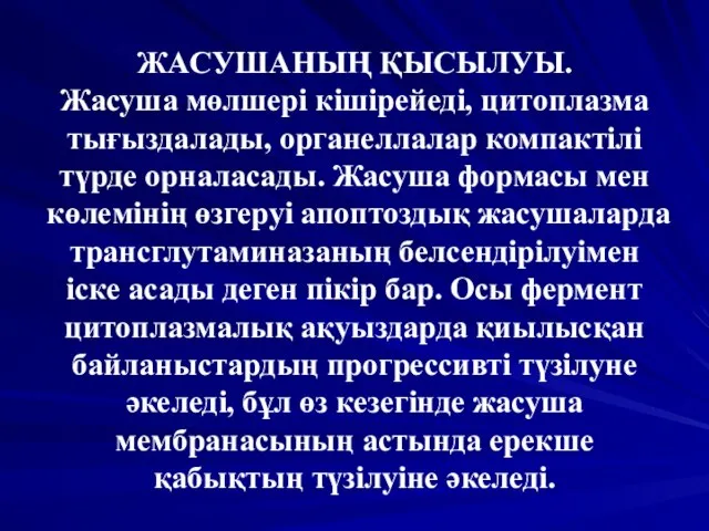 ЖАСУШАНЫҢ ҚЫСЫЛУЫ. Жасуша мөлшері кішірейеді, цитоплазма тығыздалады, органеллалар компактілі түрде орналасады.