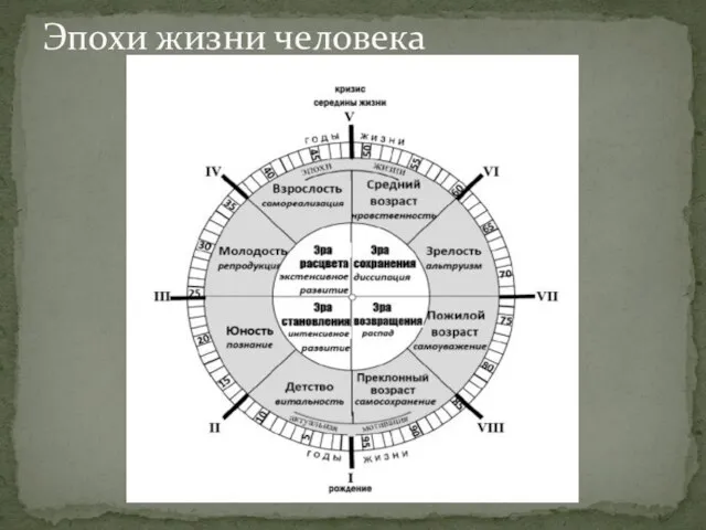 Эпохи жизни человека