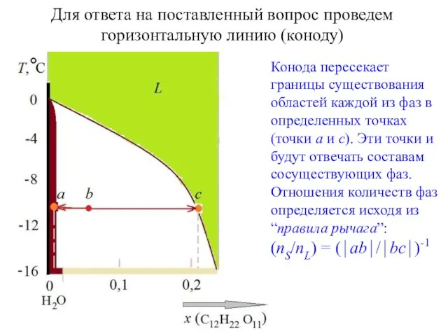 Для ответа на поставленный вопрос проведем горизонтальную линию (коноду) Конода пересекает