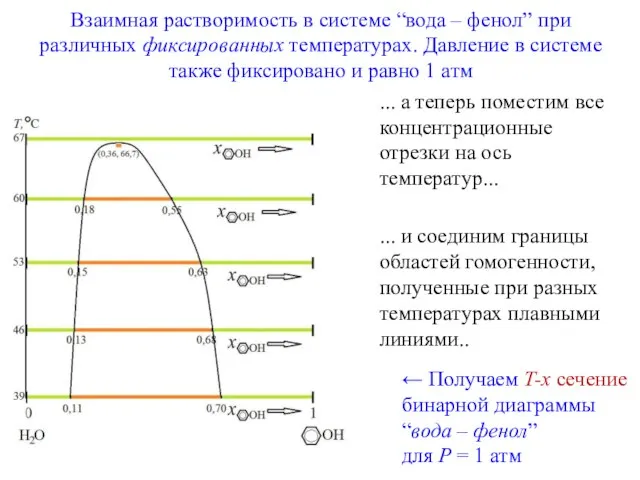 Взаимная растворимость в системе “вода – фенол” при различных фиксированных температурах.