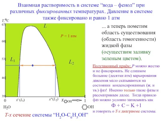 Взаимная растворимость в системе “вода – фенол” при различных фиксированных температурах.