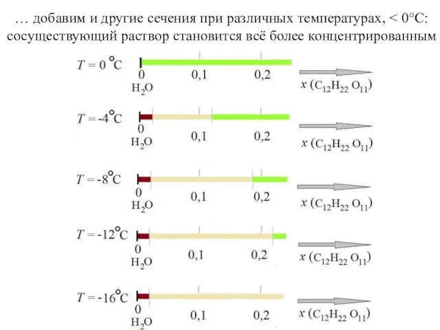 … добавим и другие сечения при различных температурах, сосуществующий раствор становится всё более концентрированным