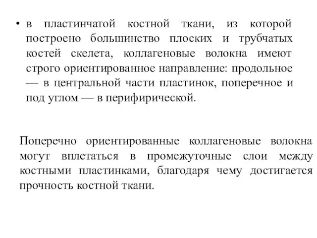 в пластинчатой костной ткани, из которой построено большинство плоских и трубчатых