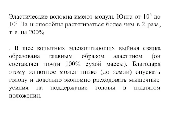 Эластические волокна имеют модуль Юнга от 105 до 107 Па и