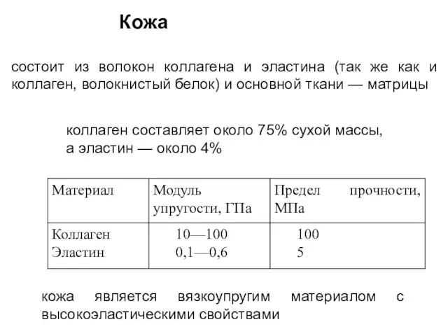 Кожа состоит из волокон коллагена и эластина (так же как и