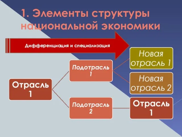 1. Элементы структуры национальной экономики Дифференциация и специализация