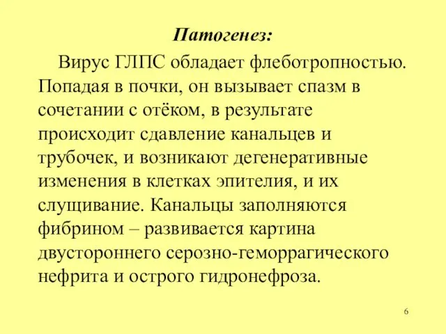 Патогенез: Вирус ГЛПС обладает флеботропностью. Попадая в почки, он вызывает спазм