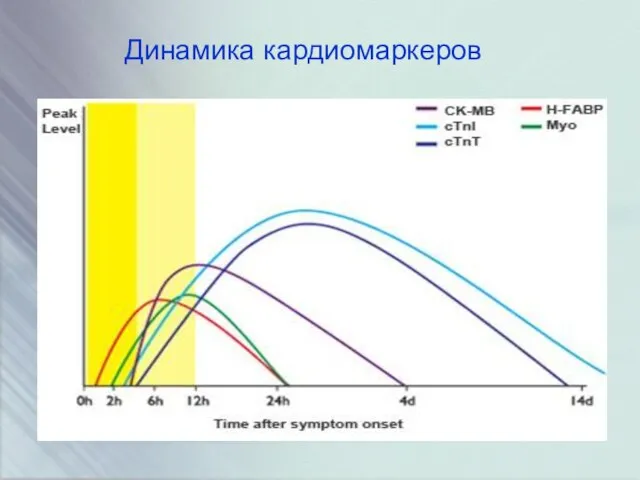 Динамика кардиомаркеров