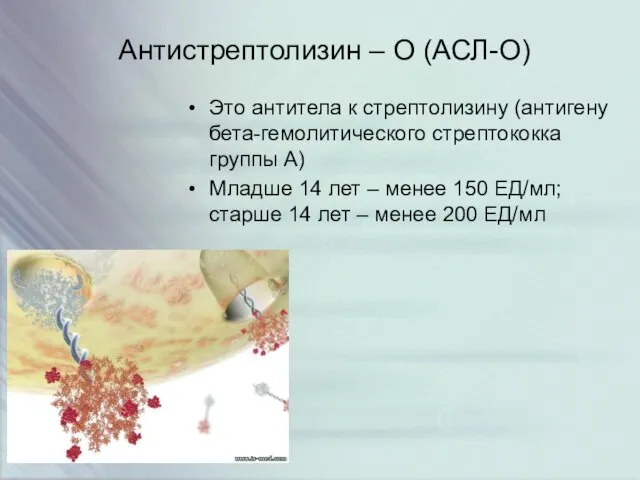 Антистрептолизин – О (АСЛ-О) Это антитела к стрептолизину (антигену бета-гемолитического стрептококка