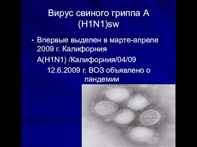 Вирус свиного гриппа А(Н1N1)sw Впервые выделен в марте-апреле 2009 г. Калифорния