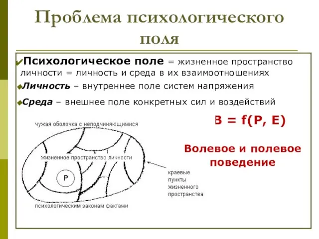 Проблема психологического поля Психологическое поле = жизненное пространство личности = личность