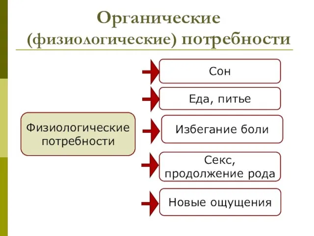 Органические (физиологические) потребности