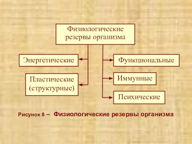 Рисунок 8 – Физиологические резервы организма