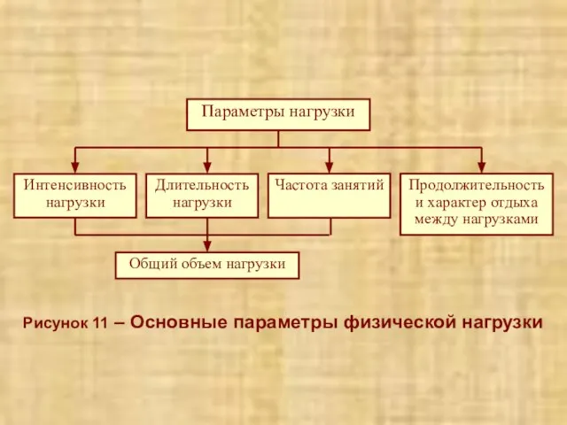 Рисунок 11 – Основные параметры физической нагрузки