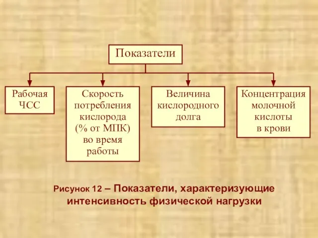 Рисунок 12 – Показатели, характеризующие интенсивность физической нагрузки