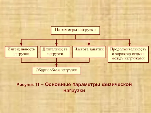 Рисунок 11 – Основные параметры физической нагрузки