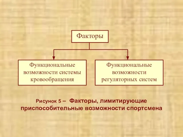 Рисунок 5 – Факторы, лимитирующие приспособительные возможности спортсмена