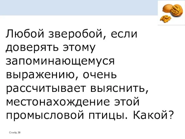 Любой зверобой, если доверять этому запоминающемуся выражению, очень рассчитывает выяснить, местонахождение этой промысловой птицы. Какой?