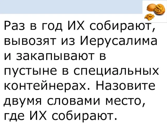 Раз в год ИХ собирают, вывозят из Иерусалима и закапывают в