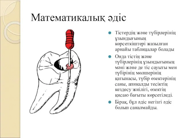 Математикалық әдіс Тістердің және түбірлерінің ұзындығының көрсеткіштері жазылған арнайы таблицалар болады