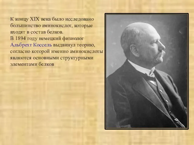 К концу XIX века было исследовано большинство аминокислот, которые входят в