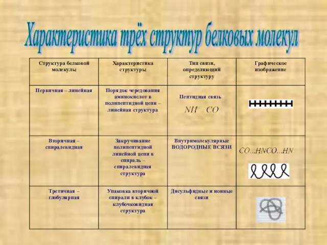 Характеристика трёх структур белковых молекул Пептидная связь