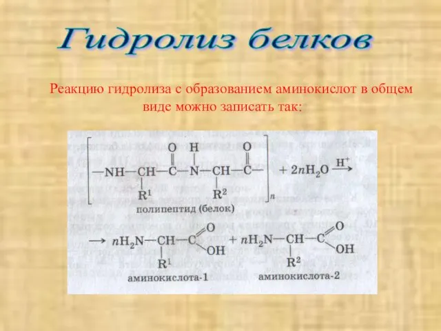 Реакцию гидролиза с образованием аминокислот в общем виде можно записать так: Гидролиз белков