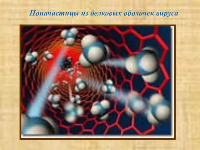 Ноначастицы из белковых оболочек вируса