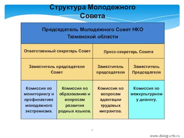 Структура Молодежного Совета www.dialog-urfo.ru