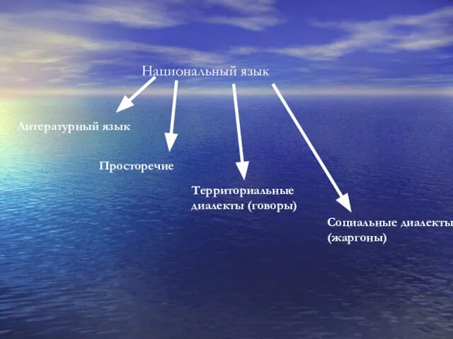 Национальный язык Литературный язык Просторечие Территориальные диалекты (говоры) Социальные диалекты (жаргоны)