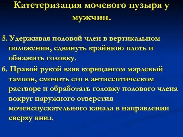 Катетеризация мочевого пузыря у мужчин. 5. Удерживая половой член в вертикальном