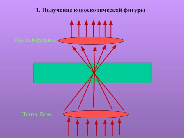 1. Получение коноскопической фигуры Линза Лазо Линза Бертрана