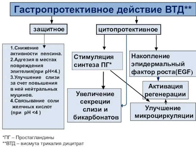 1.Снижение активности пепсина. 2.Адгезия в местах повреждения эпителия(при рН 3.Улучшение слизи