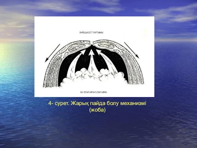 4- сурет. Жарық пайда болу механизмі (жоба)