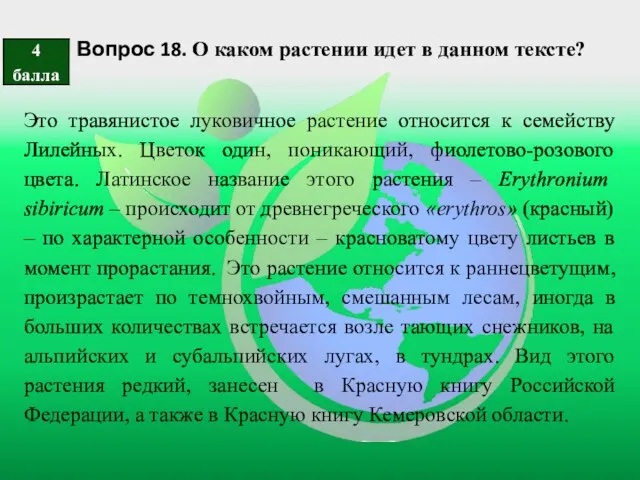 Вопрос 18. О каком растении идет в данном тексте? Это травянистое